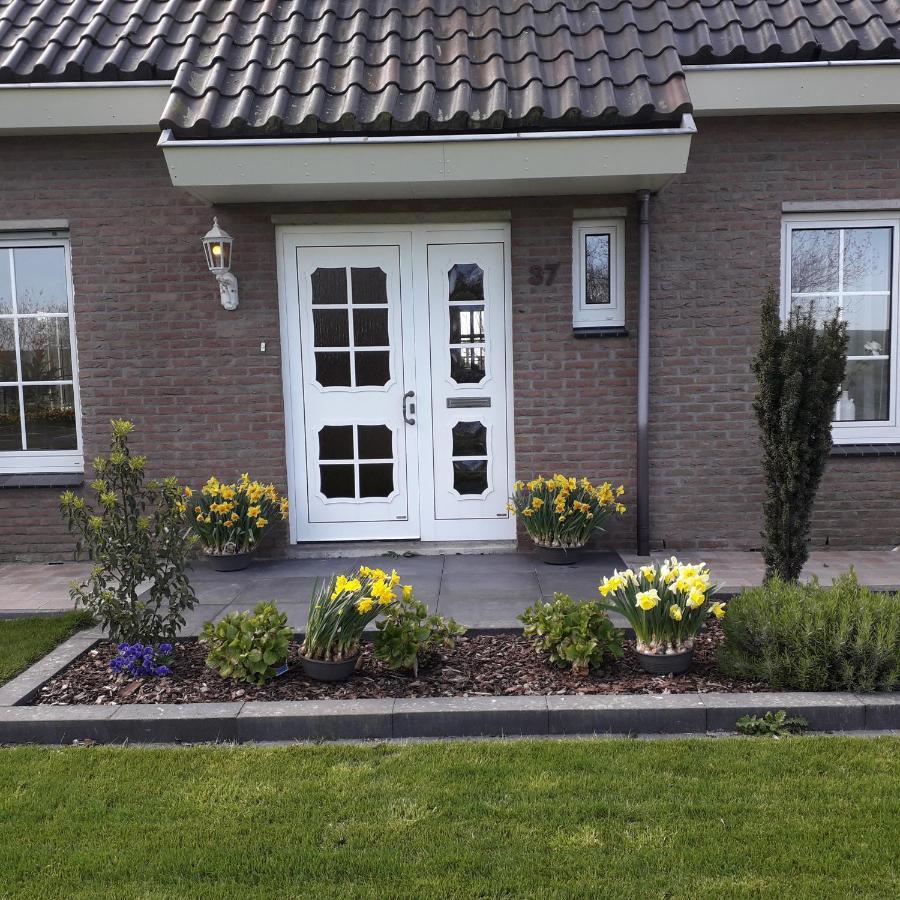 Villa Groot Familiehuis Voor 6 Personen In Landelijke, Rustige Omgeving Breezand Exterior foto